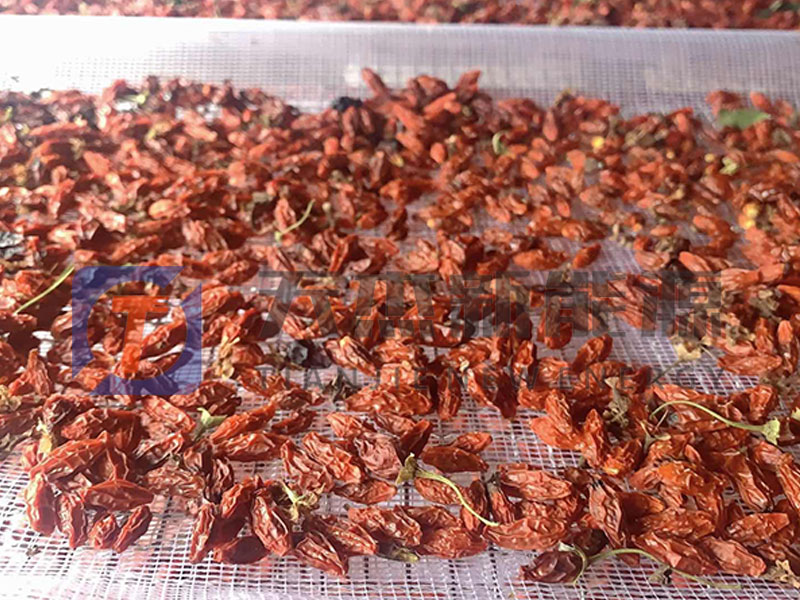 阜陽枸杞烘干機(jī)客戶生產(chǎn)現(xiàn)場(chǎng)效果預(yù)覽