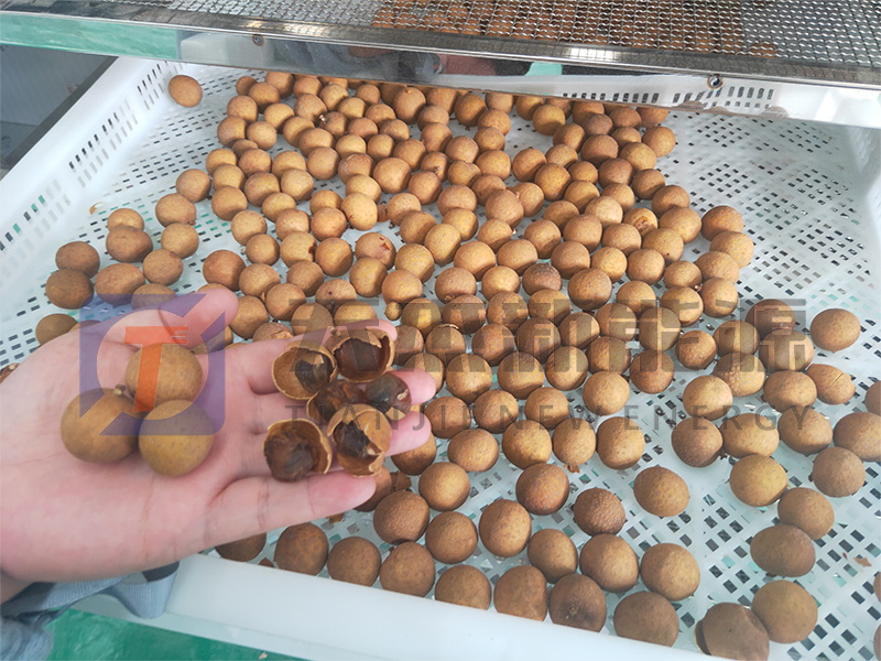 天杰新能源?；葜蔟堁酆娓蓹C(jī)開機(jī)大吉